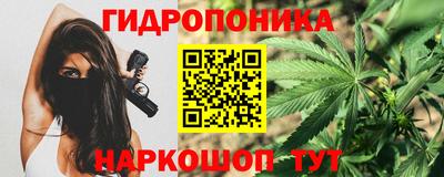 индика Вязники