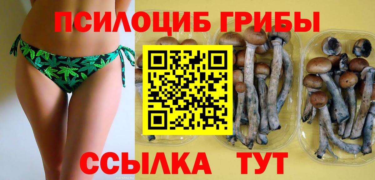Галлюциногенные грибы MAGIC MUSHROOMS Новодвинск