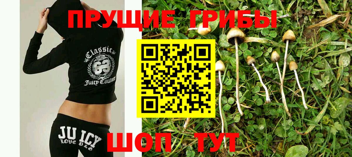 Новодвинск  купить закладку  Галлюциногенные грибы Psilocybine cubensis  Вход с VPN  Галлюциногенные грибы Cubensis 