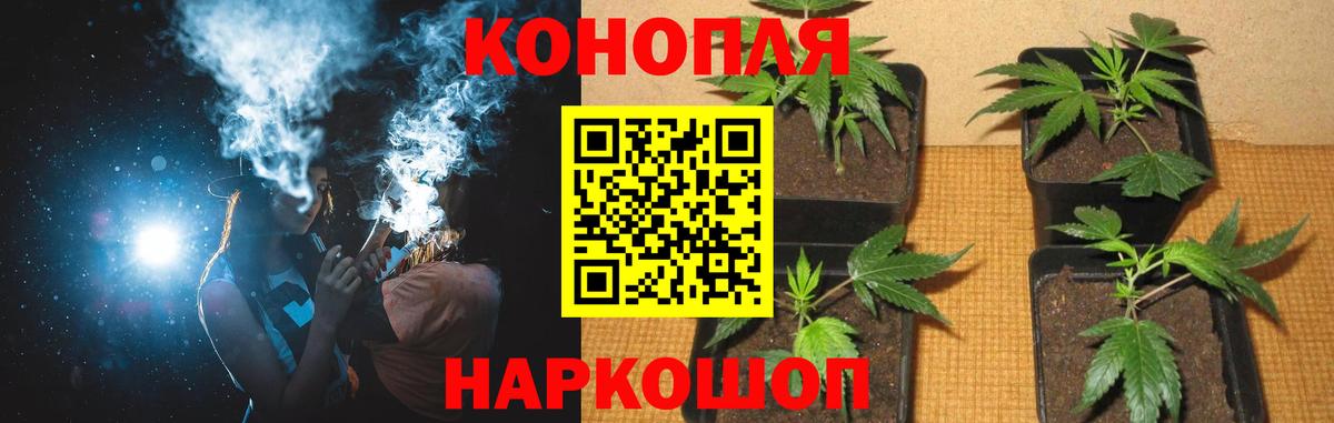 Конопля LSD WEED  Конопля SATIVA & INDICA  Каннабис марихуана  Вход с VPN  Каннабис планчик  Новодвинск 